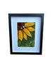 Sunny Flowers Felting Workshop