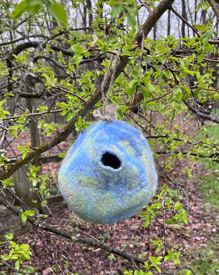 Wet Felted Bird Pod