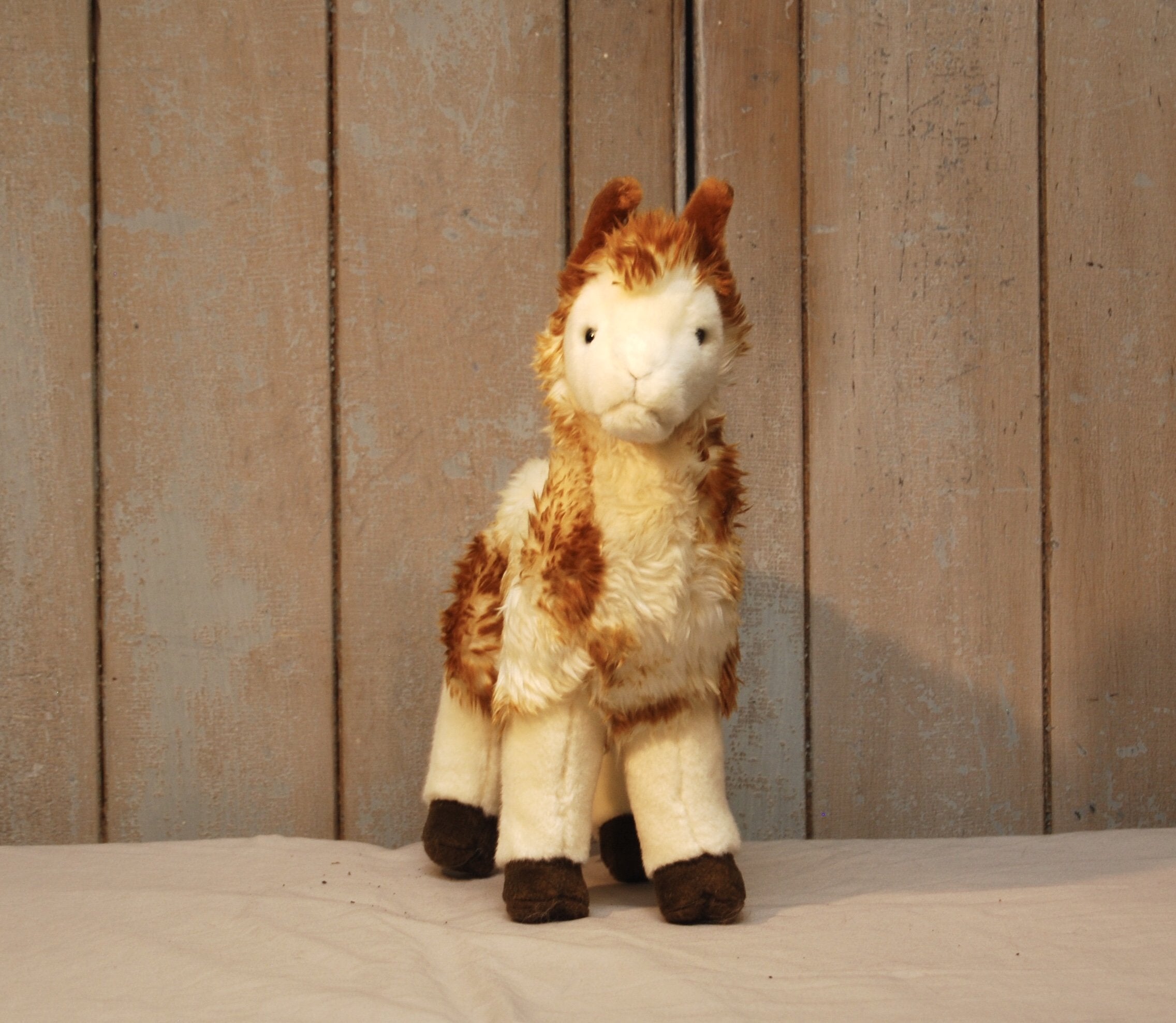 Smooch the Alpaca